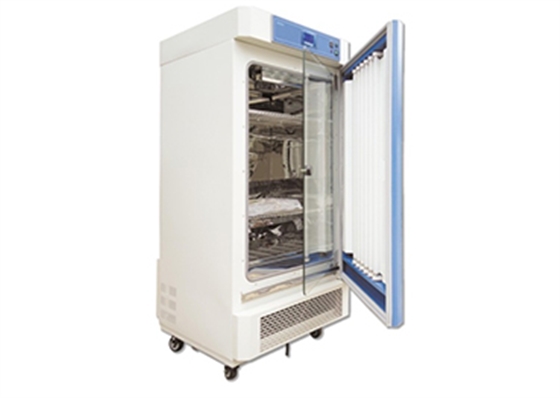 培養(yǎng)箱 培養(yǎng)箱